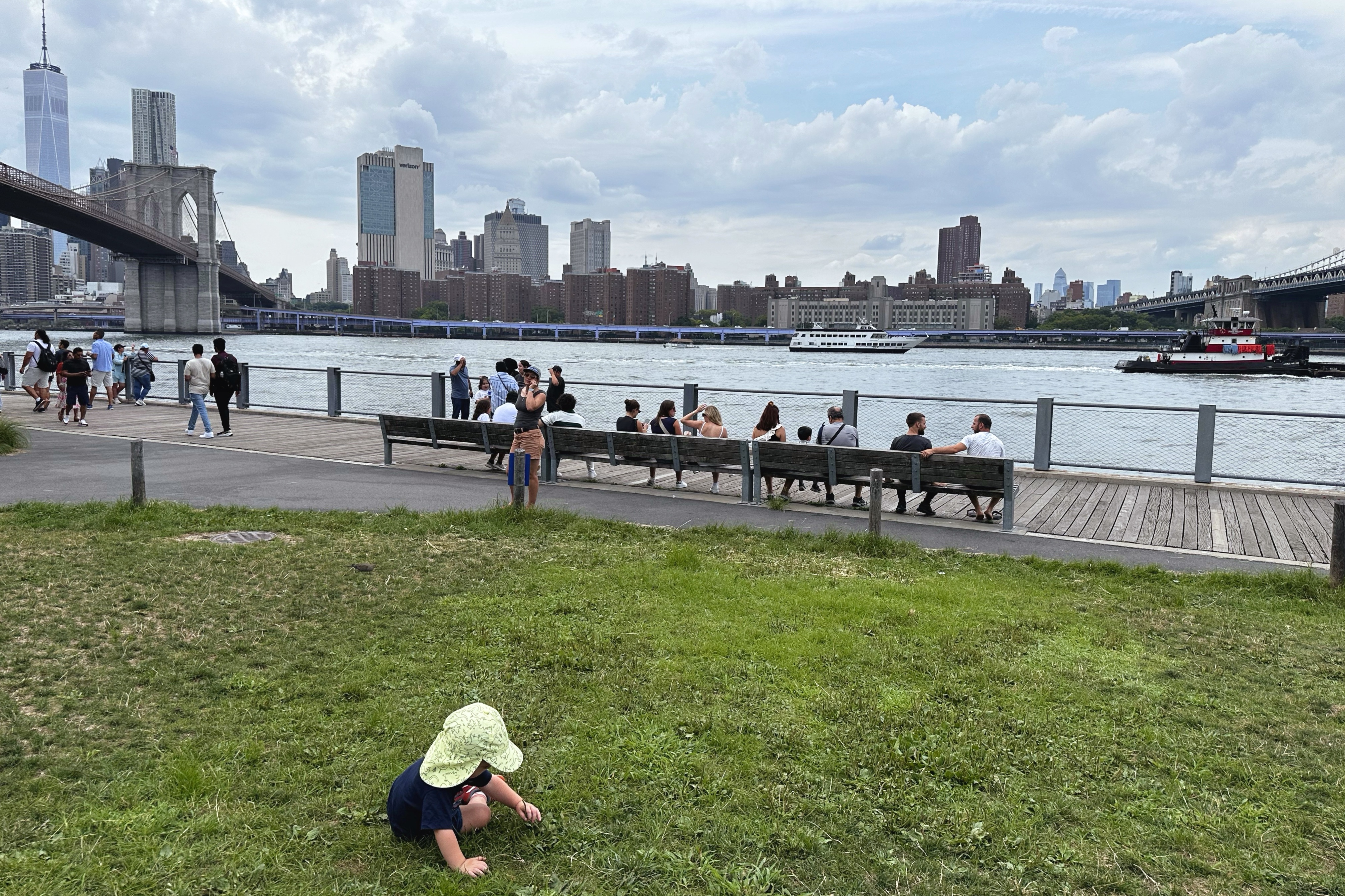 Playing on grass with New York behind